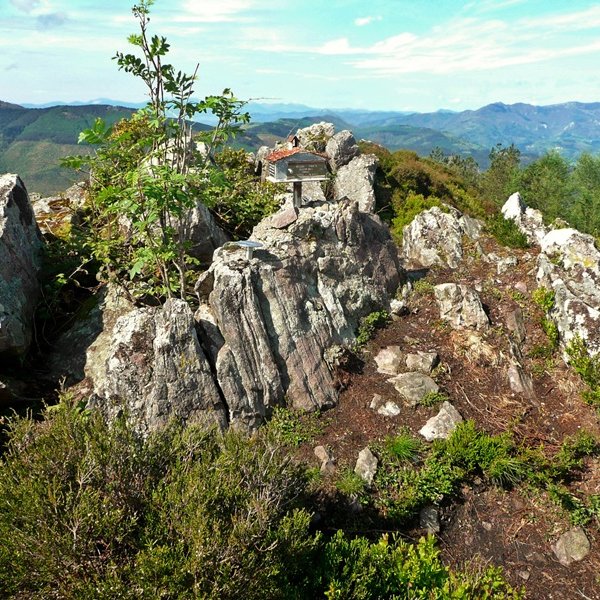 Tontorra