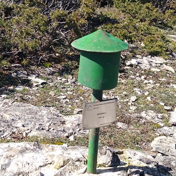 Txartelontzia