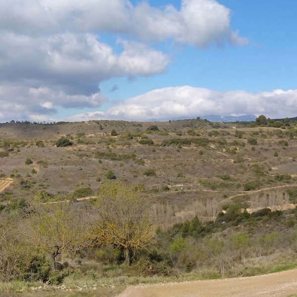 Valdeibañez