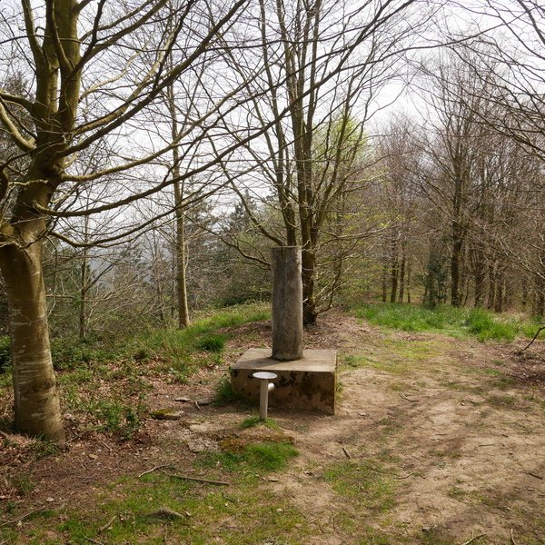 Tontorra