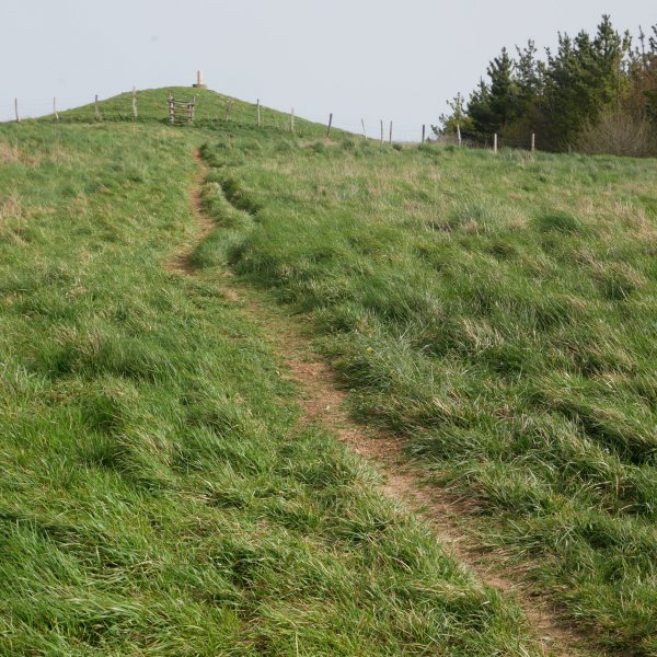Txurro