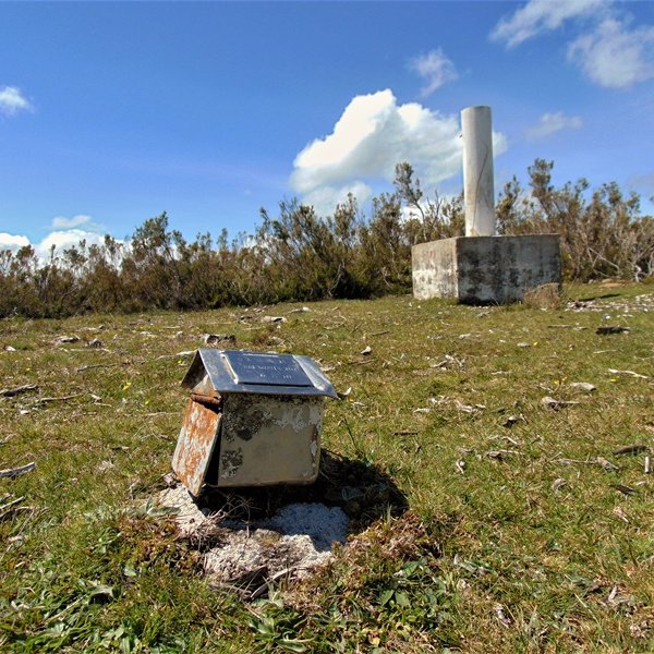 Tontorra