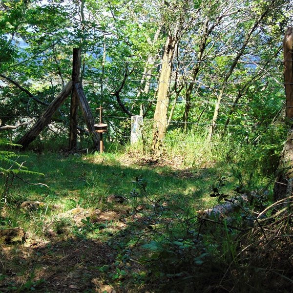 Buzoidun Tontorra