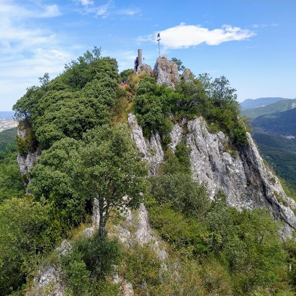 Tontorra
