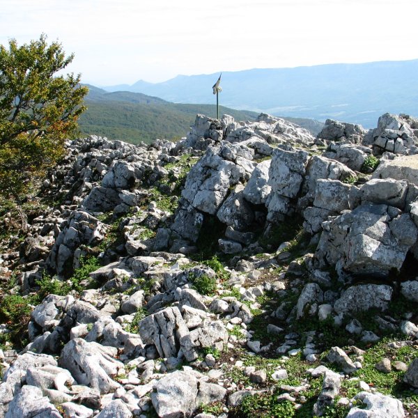 Tontorra