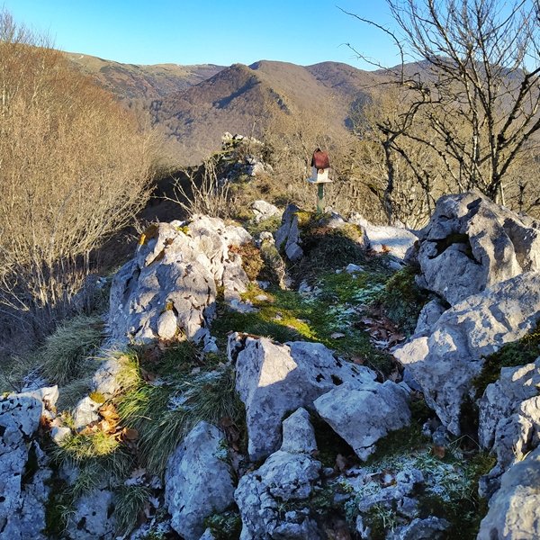 Tontorra