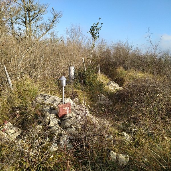 Tontorra