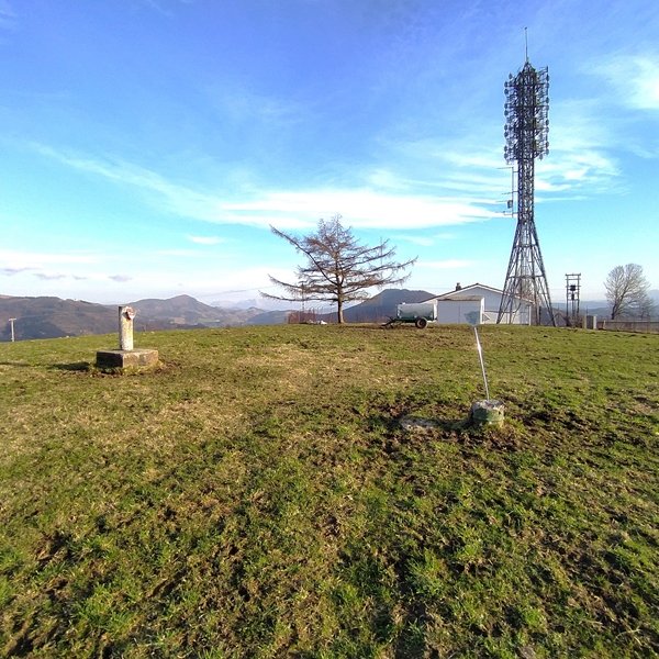 Tontorra
