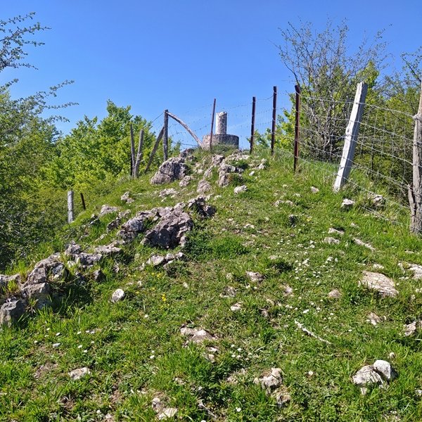Tontorra