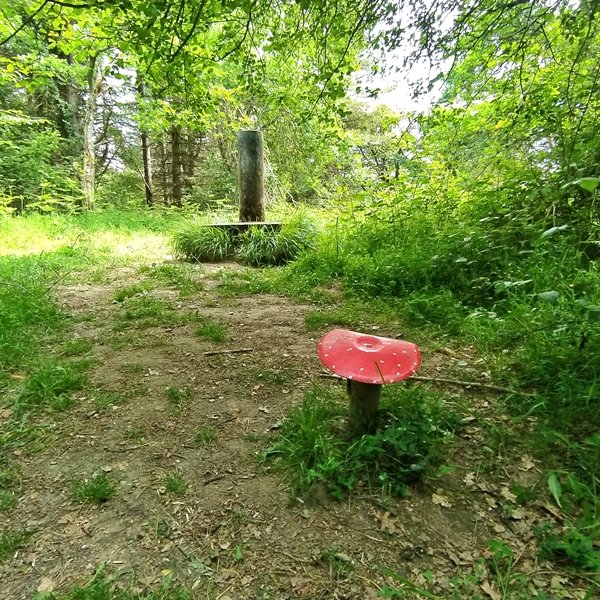 Tontorra