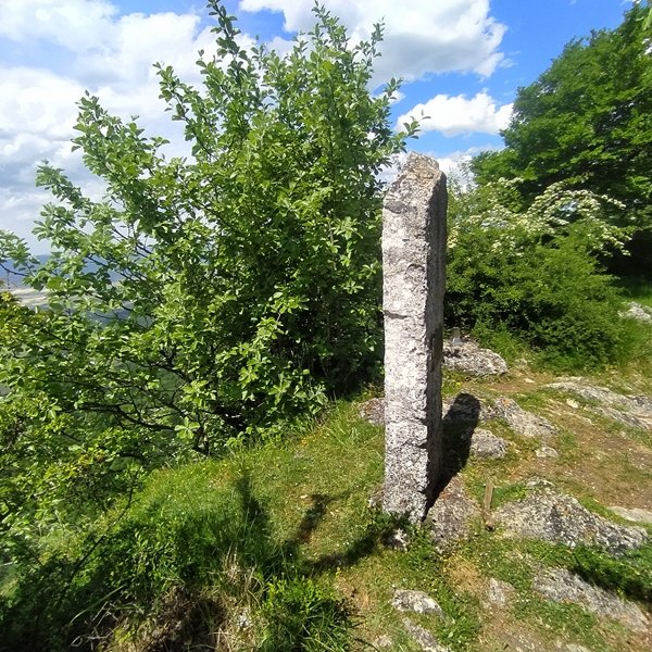 Tontorra