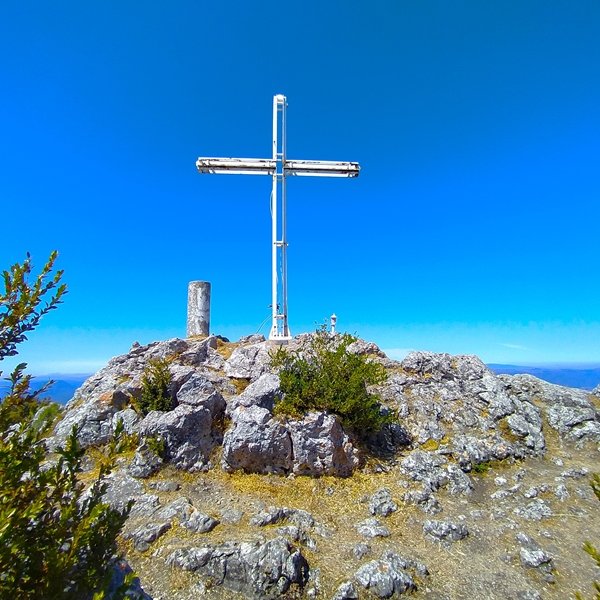 Tontorra