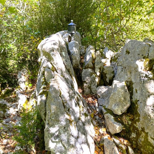 Tontorra