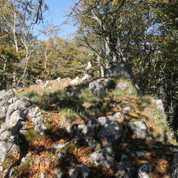 Tontorra, Uazkuru