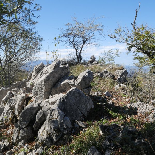 Tontorra, Akaitz
