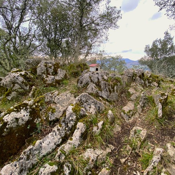 Tontorra