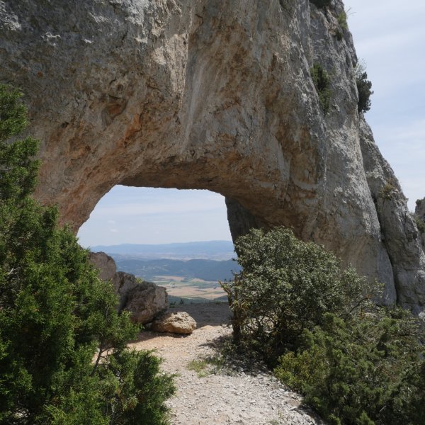 Arku txikia