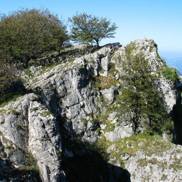 Tontorra Etik
