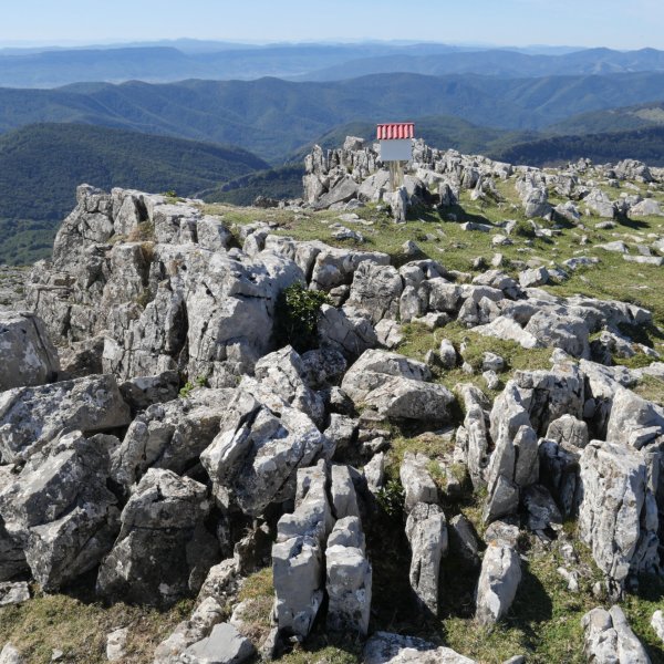 Malkorri tontorra