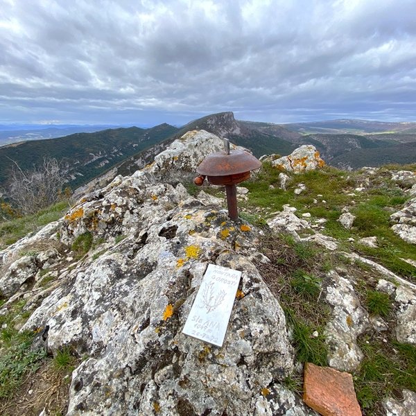 Tontorra