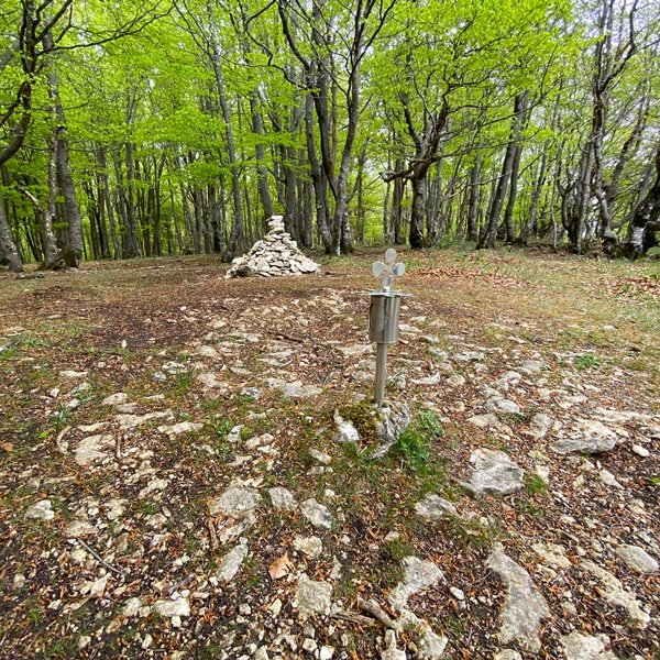 Tontorra