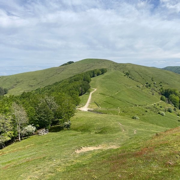 Txurruko Punta
