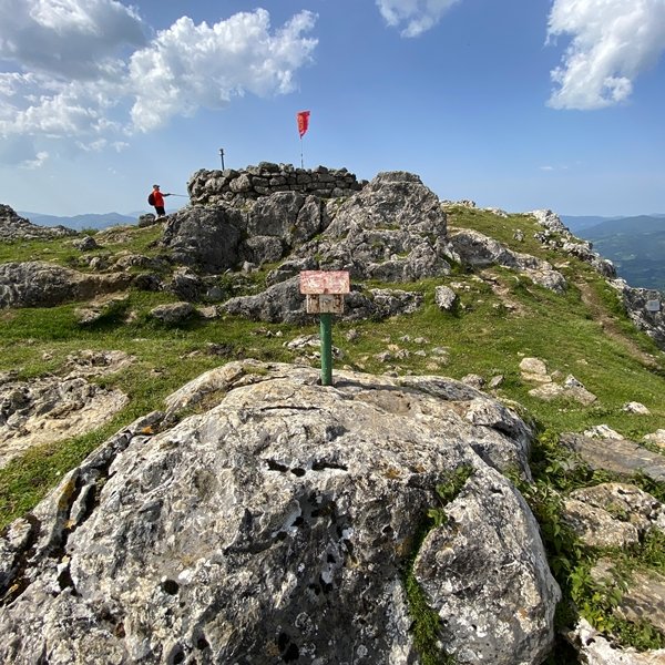 Tontorra