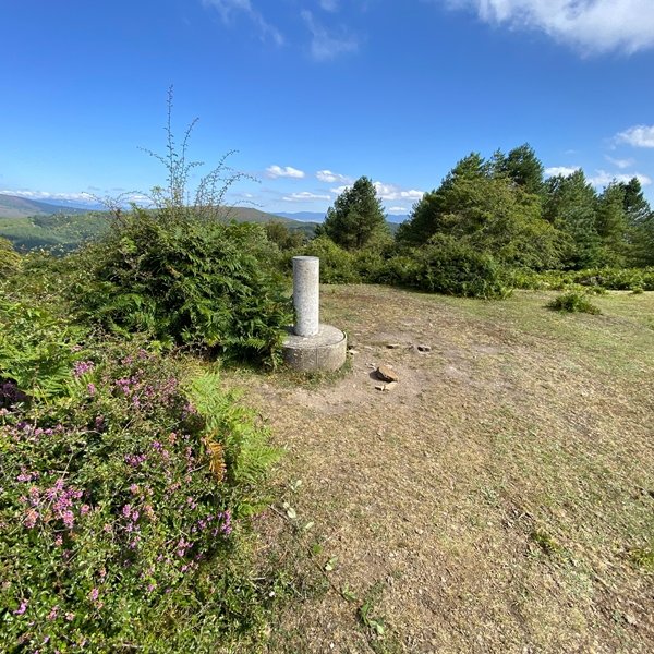 Tontorra