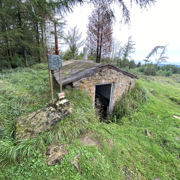Tontorra