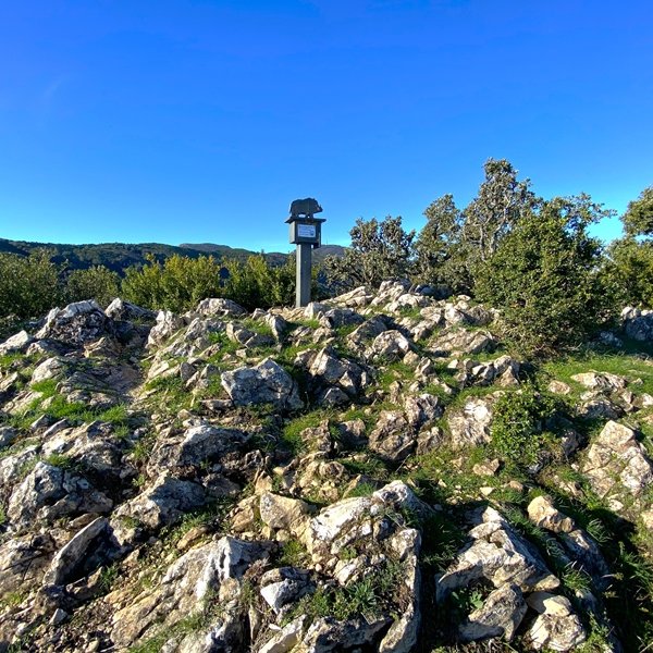 Tontorra