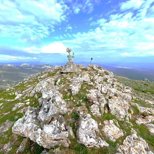 Tontorra