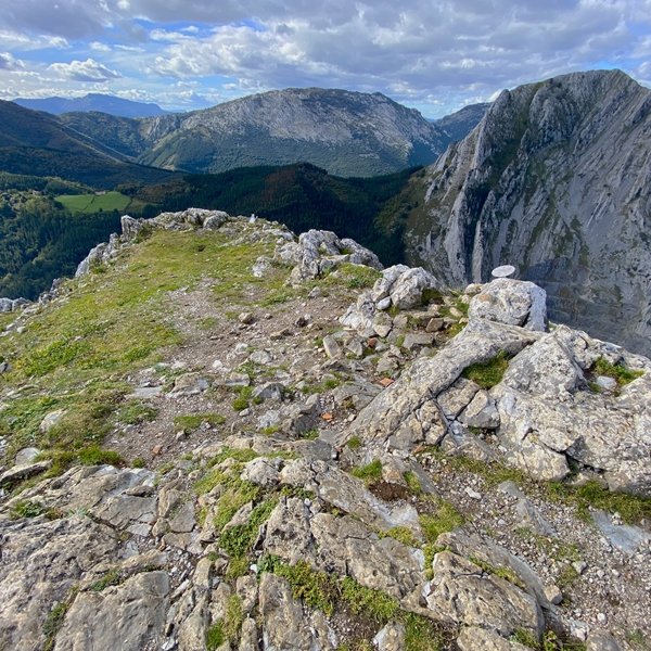 Tontorra