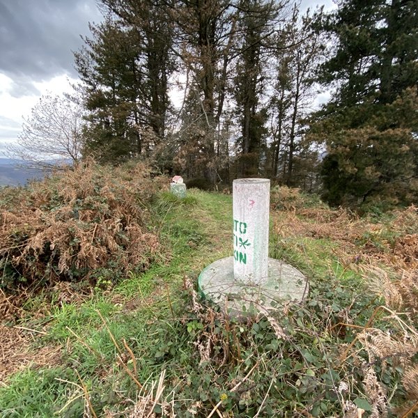 Tontorra