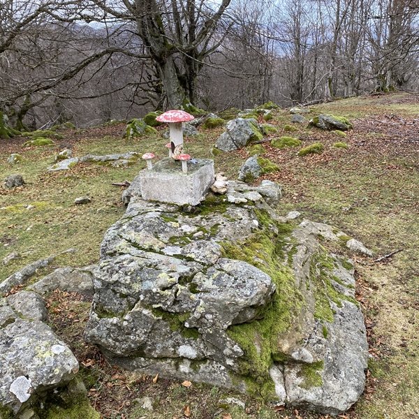 Tontorra