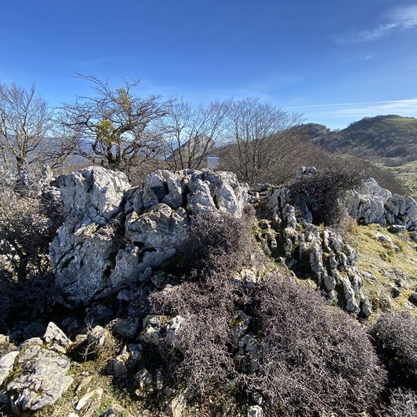 Tontorra