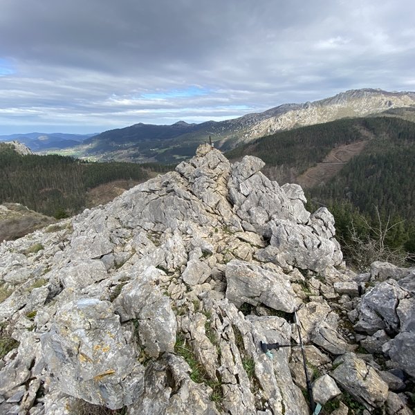 Tontorra