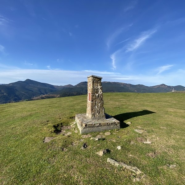 Tontorra