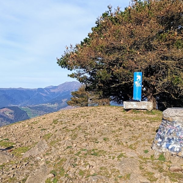 Tontorra