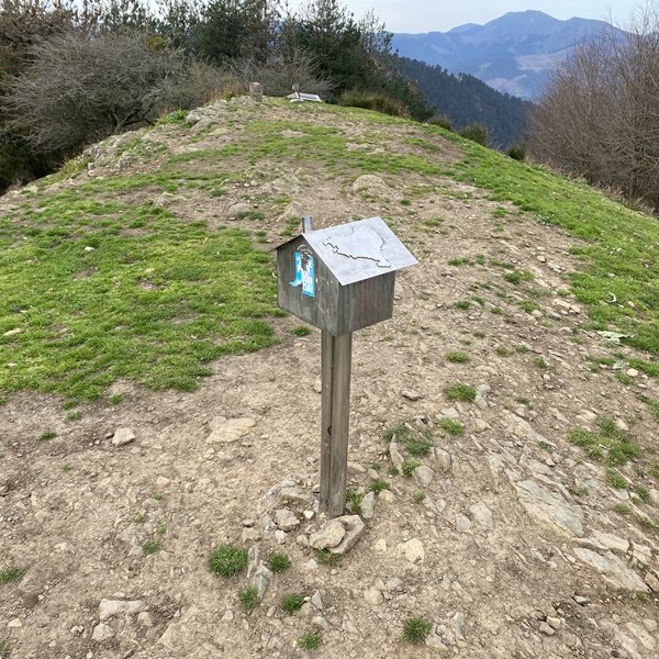 Buzoia