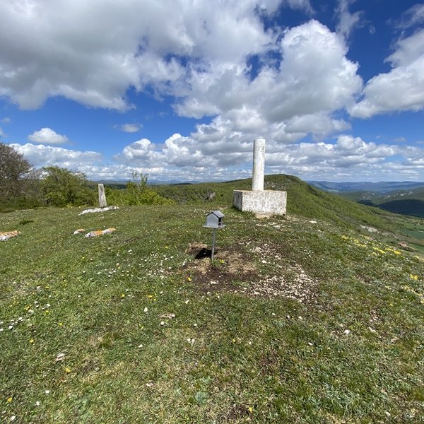 Tontorra