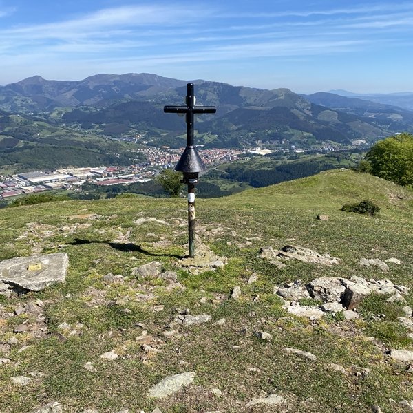 Buzoia
