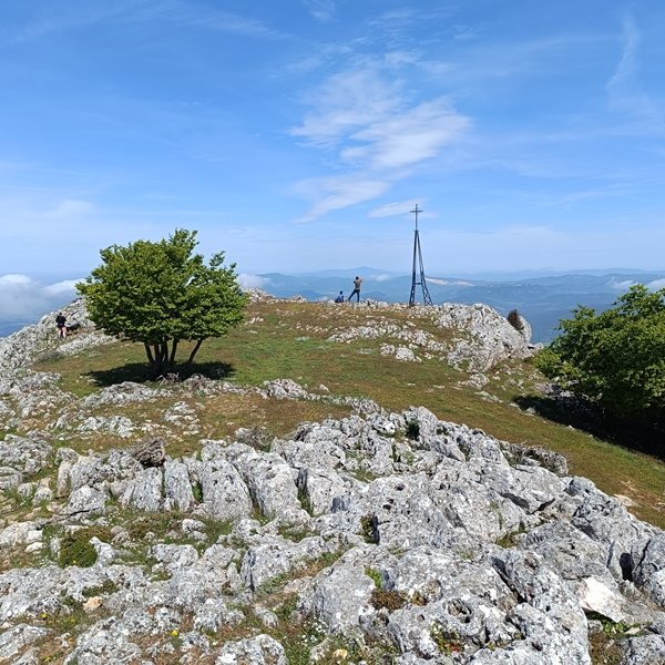 Tontorra