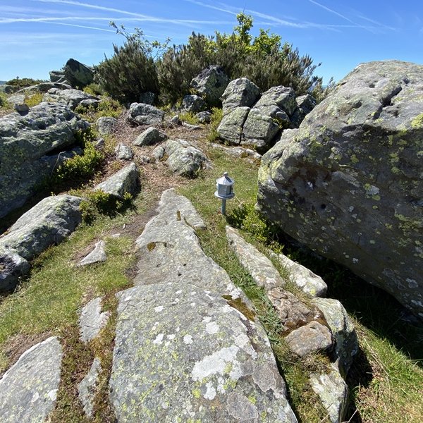 Tontorra