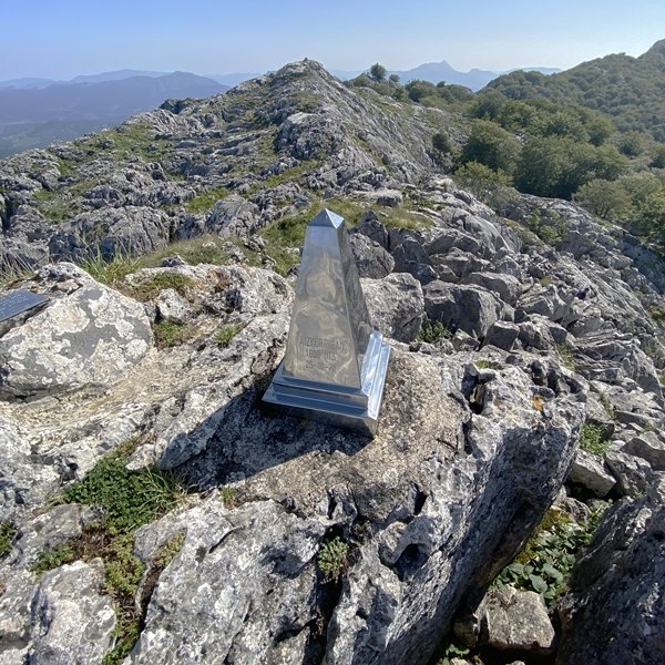 Buzoia