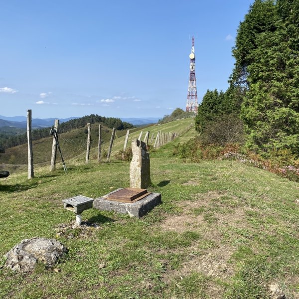 Tontorra