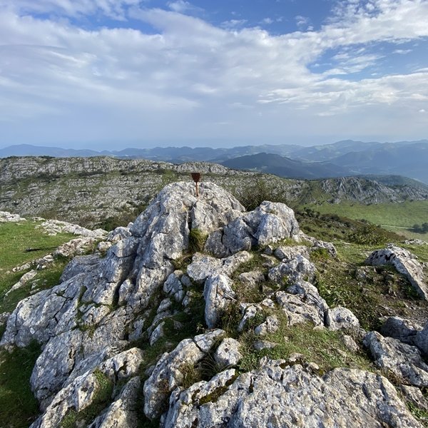 Tontorra