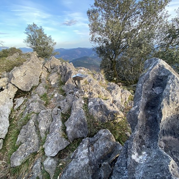 Tontorra