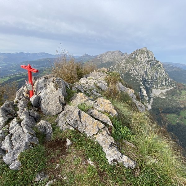 Tontorra