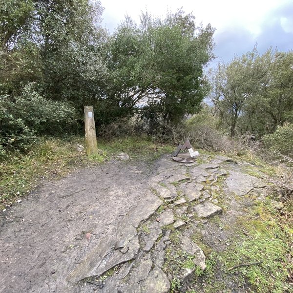 Tontorra