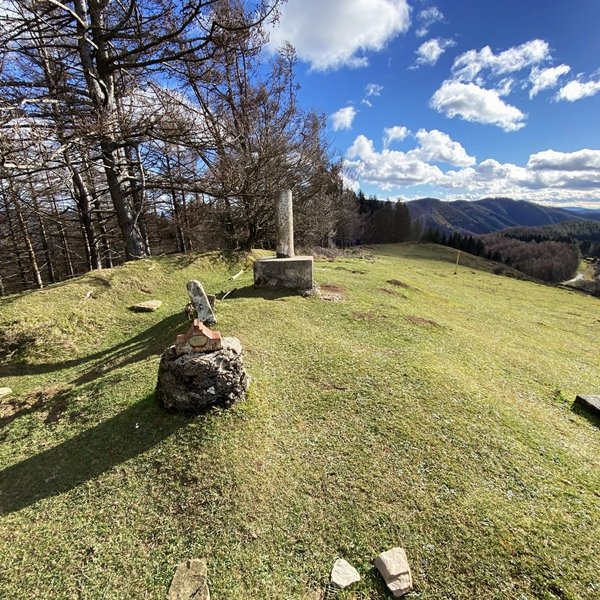 Tontorra